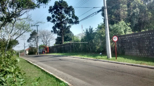 Imagem 3 de 15 de Terreno - Sao Jose - Ref: 46989 - V-46989