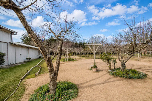 Hermosa Parcela En Terreno Plano, Casablanca