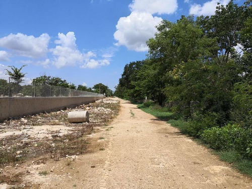 Imagen 2 de 21 de En Venta Terreno De 9 Hectáreas En Mérida Yucatán, Cerca De Periférico
