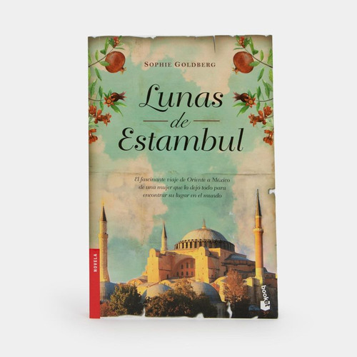 Libro Lunas De Estambul