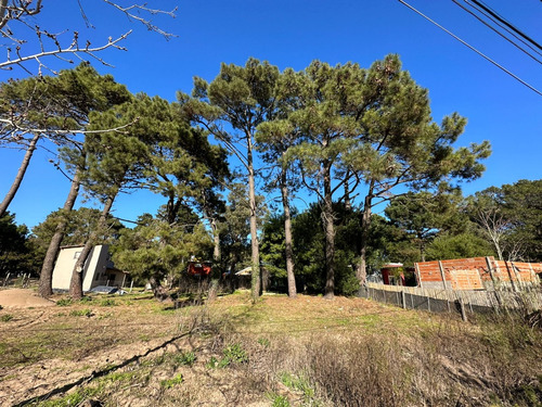 Lote En Venta Ubicado En Valeria Del Mar
