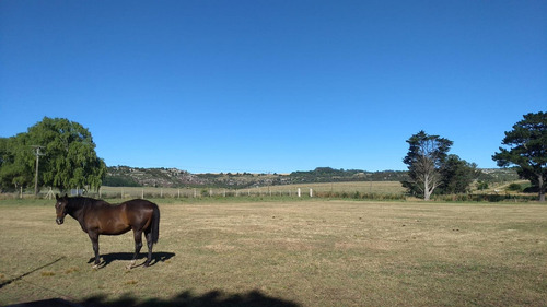 Campo En Venta Provincia De Buenos Aires Ruta 226
