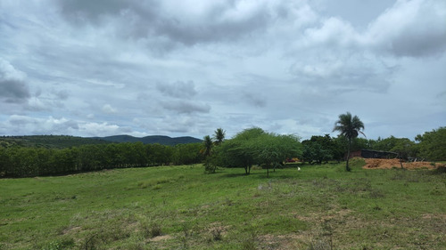 Propriedade Rural Próxima A Cidade Em Senhor Do Bonfim - Ba