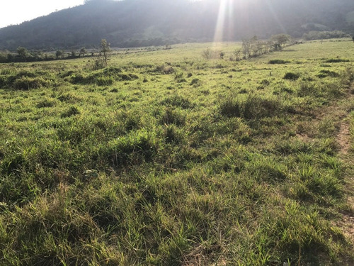 Imagem 8 de 9 de W36-lotes Pertinho De Você