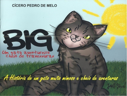 Big: Um Gato Aventureiro Cheio De Travessuras, De Cicero Pedro De Melo. Editora Autores Catarinenses, Capa Mole, Edição 1 Em Português