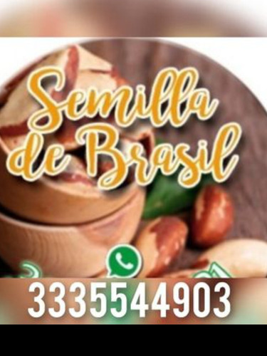 Semilla De Brasil