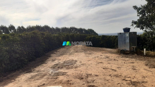 Imagem 11 de 12 de Fazenda - Zona Rural - Ref: 5175 - V-mta5175