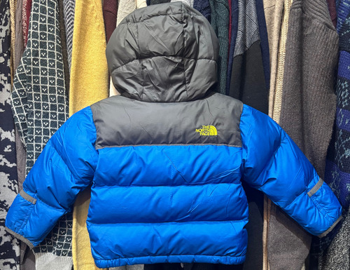 Campera De Pluma Original Para Niño The North Face (Usado)