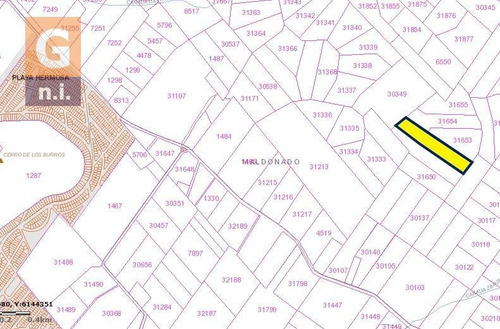 Campos Y Fracciones En Piriápolis (ruta 73 Piriápolis) - Ref. 4665