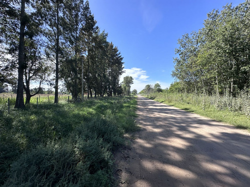 Lote Terreno En Chasocmus