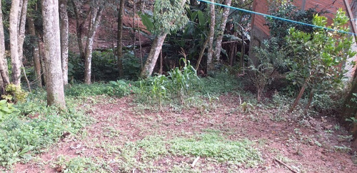 Imagem 1 de 8 de Terreno - Te00027 - 34354483