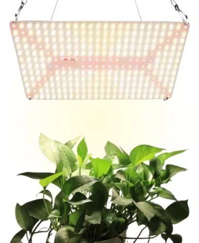 Quantum Board Samsung 600w 288leds Ir Uv Cultivo Grow Indoor | Frete grátis