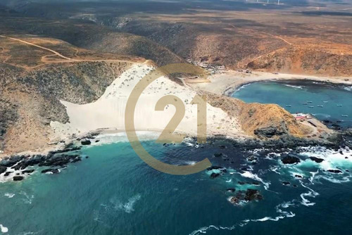 Hermosa Parcela Entre Tongoy Y Los Vilos.