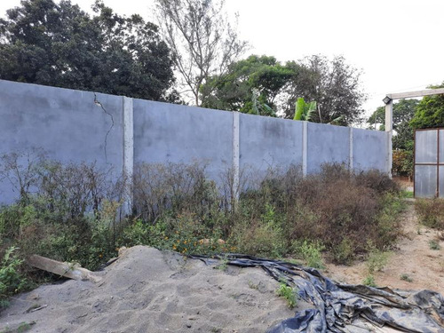 Venta Terreno 1275 M² Col. Cruz Naranjos Tuxpan Veracruz