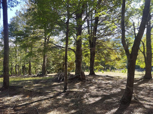 Terreno 5.000 M2 Condominio La Helvetia, Malalcahuello