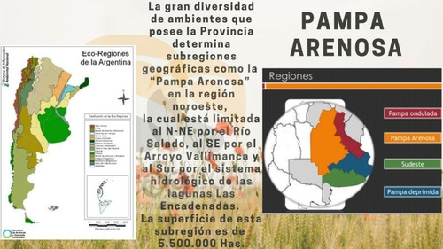 Imagen 6 de 12 de Campo De 50 Has En Venta En Distrito De #trenquelauquen