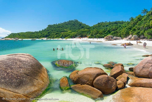 Imagem 12 de 14 de Terreno Para Vender No Campeche, Viabilidade, Florianópolis - 3336