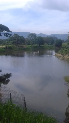 Imagen 5 de 18 de Se Vende Finca 114 Hectáreas Carabobo Bejuma. Cod. 4616212