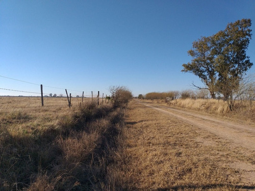 Imagen 2 de 13 de Vendo 90 Hectareas Ganaderas En Ucles, Cba