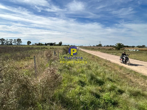 3 Hectáreas En Canelones, Entrega 20 Mil Y Saldo A Dos Años