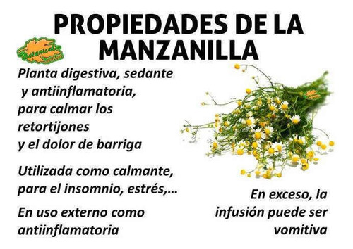 Infusión Descongestionante Menta Hierbabuena Tomillo. 3 Pzas