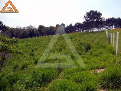 Imagem 2 de 7 de Ref.: 8130 - Chacara Em Ibiúna Para Venda - V8130