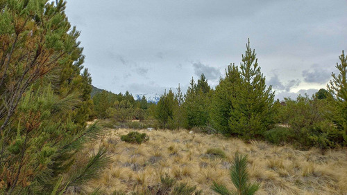 Imagen 5 de 21 de Terreno A La Venta En Bariloche