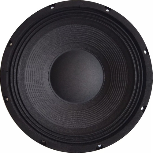 Parlante 10 Pulgadas Apogee Ap10 8 Ohms 300 Watts Color Negro