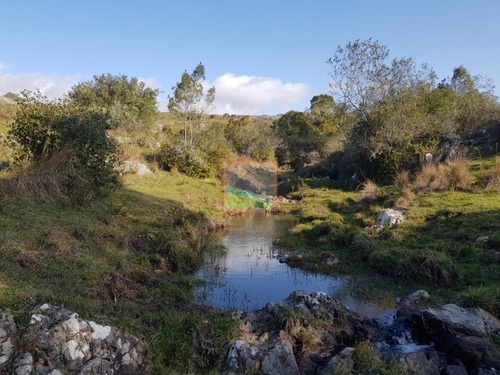 Campo 91.3 Hás La Coronilla Aiguá