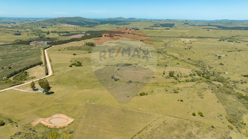 Chacras En Venta Ruta 39 San Carlos - Oportunidad!