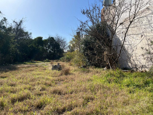 Venta Terreno 26x60 M2 Luis Guillon