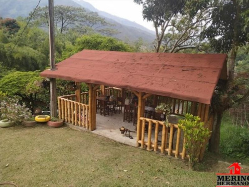 Imagen 7 de 13 de Finca En Venta En Barbosa - Vereda De Isaza