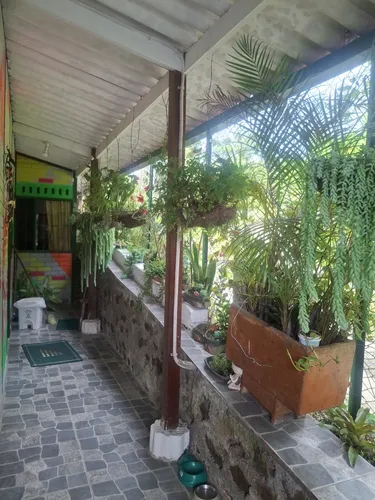 Pequeña Finca Bien Ubicada