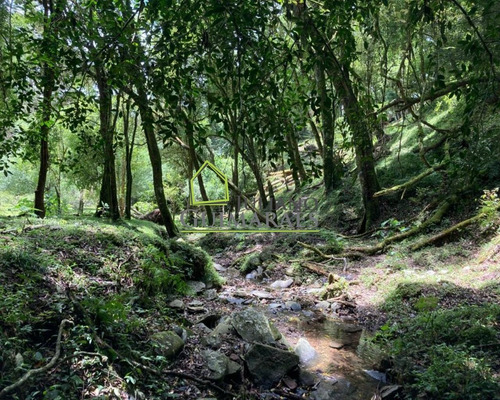 Imagem 8 de 25 de Excelente Terreno Com Cachoeira, Á Venda Em Bom Retiro Sc - Te00033 - 70480671