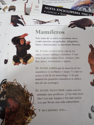 Nueva Enciclopedia Visual Clarin Completa Ciencia Historia N (Usado)