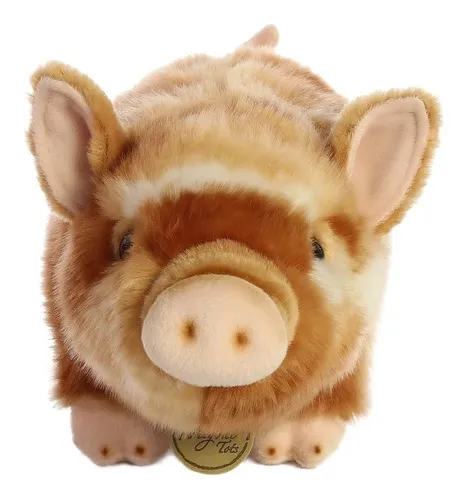 Miyoni by hotsell aurora pig