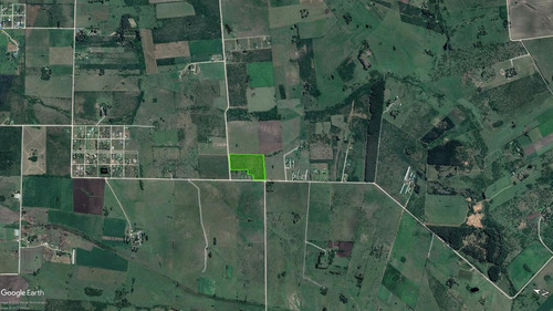 Imagen 3 de 20 de Campo - Colón