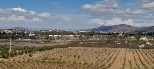 Hectareas En Valle De Guadalupe