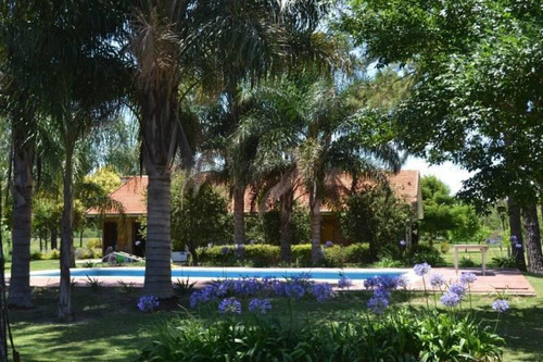 Imagen 2 de 21 de Se Vende Exclusivo Complejo Turístico En San Javier