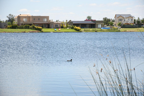 Lote Laguna #100-200 - Villa Nueva - San Benito - 1361m2 #id 6848
