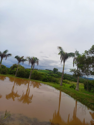 Imagem 25 de 30 de Chácara 28.340m2, Rica Em Água Com Açude, Árvores Frutíferas, Casa Sede Com 182m2, 2 Dormitórios, 1 Suíte, Curral, Pomar, Pasto, Poço Caipira - Ch00201 - 70578843