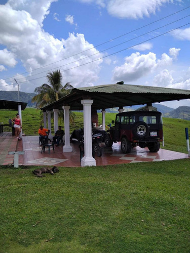 Imagen 18 de 23 de Finca Productivo En Tachira
