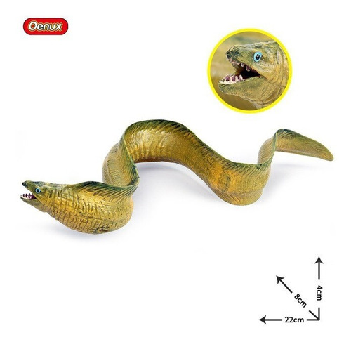 Animales Marinos. Anguila Morena. 22 Cms. Peces. Mar, Oceano