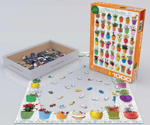 Puzzle Eurographics Cactus