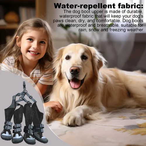 Pet shoes discount