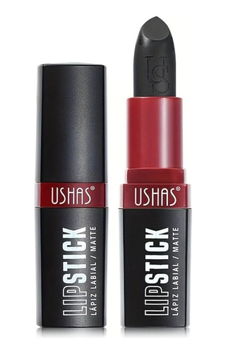 Lipstick Lápiz Labial / Matte   Ushas 