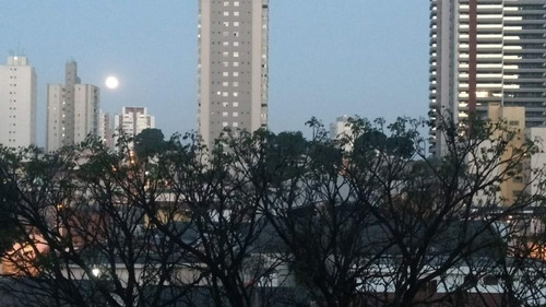 Imagem 14 de 24 de Apartamento - Ref: 7409