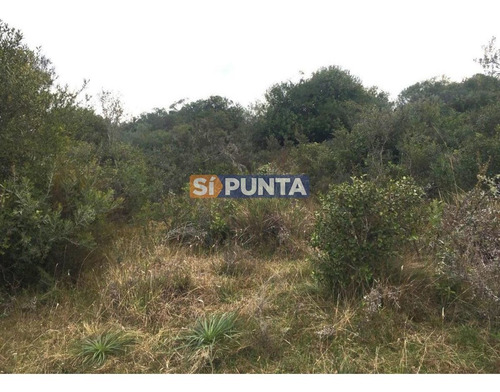Imagen 7 de 8 de Campo En Venta, Paraje La Coronilla, Maldonado