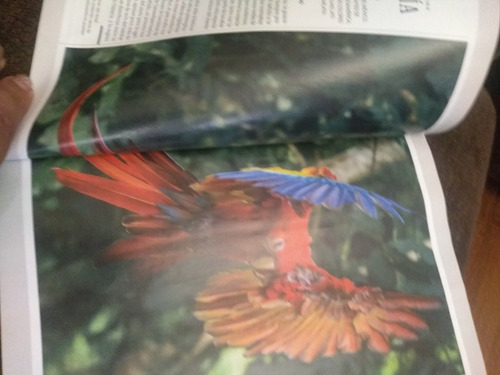 Colección De Revistas National Geographic Febrero-2019 (Usado)