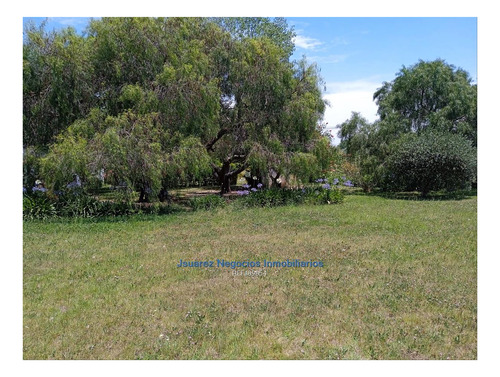 Imagen 14 de 22 de Js: Venta Excelente Chacra Abayuba Cw189854